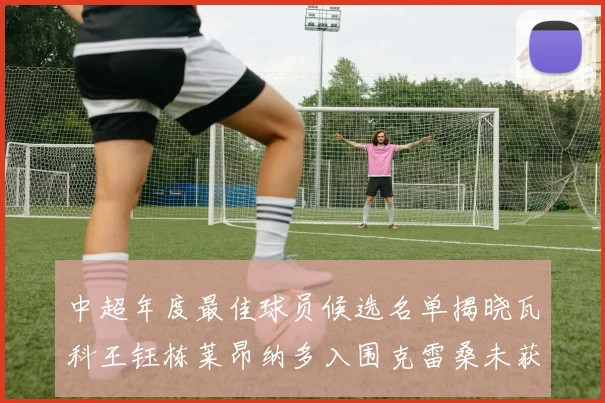 中超年度最佳球员候选名单揭晓瓦科王钰栋莱昂纳多入围克雷桑未获提名