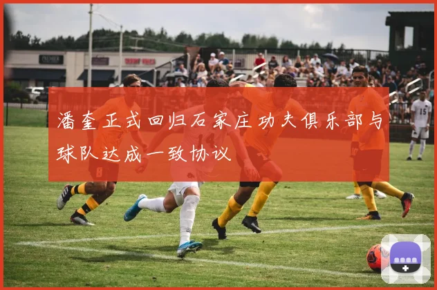 潘奎正式回归石家庄功夫俱乐部与球队达成一致协议