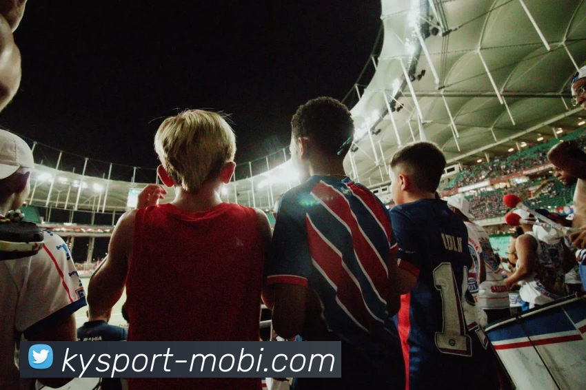 开云体育平台生态图